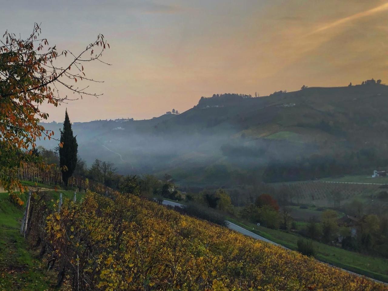Panoramic Garassino - Country And Fine Restaurant Treiso